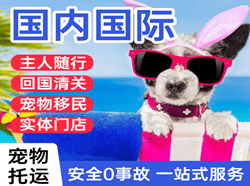 正定航空快递国际宠物托运 【国